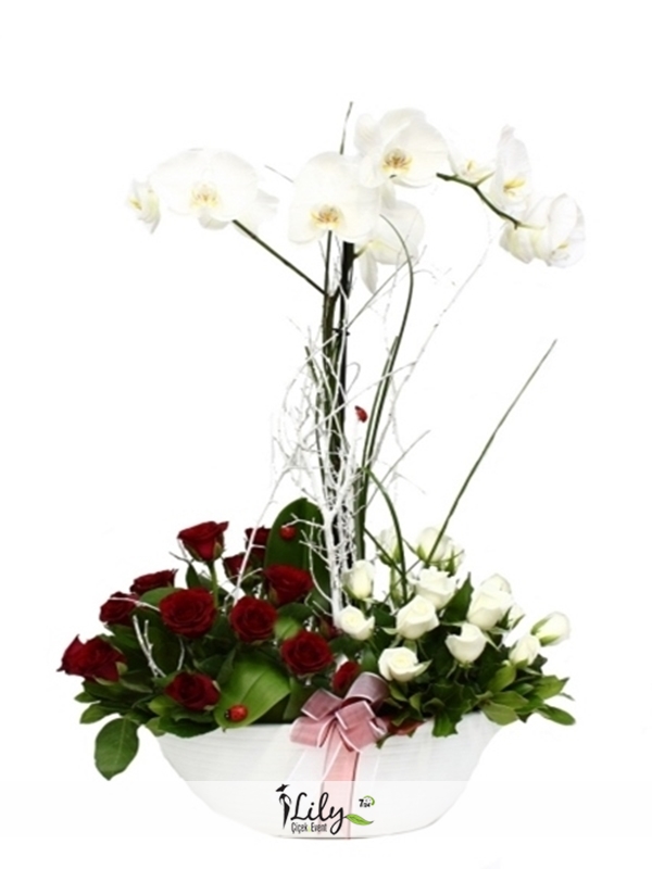 2 Dal Orkide Ve Kırmızı Beyaz Güller