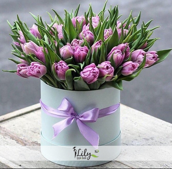 Kutuda 20 Adet Pembe Lale