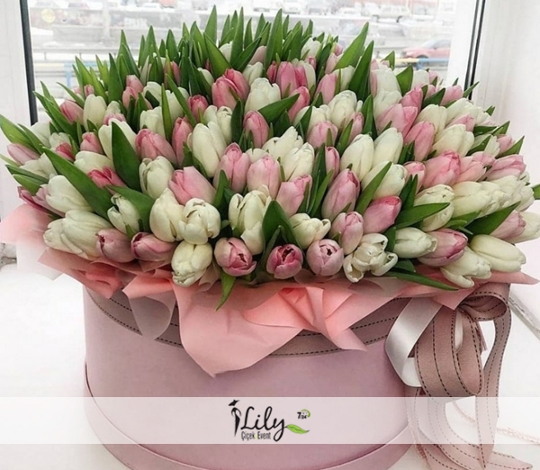 Kutuda Pembe Beyaz Laleler
