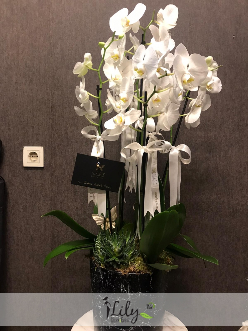 seramikte 6 dal orkide tasarımı