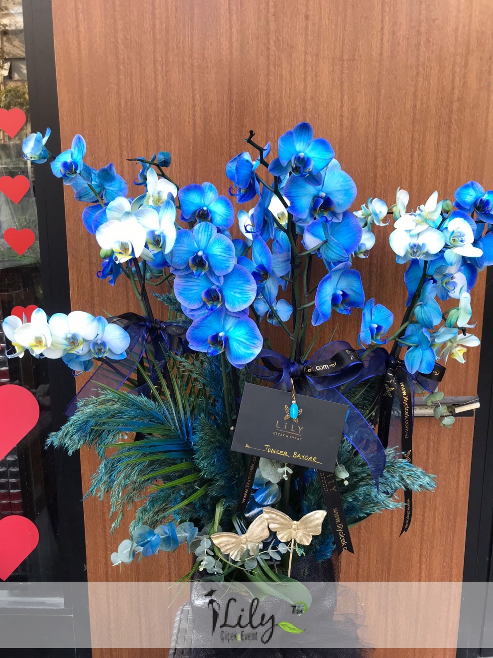 vip mavi orkide tasarım