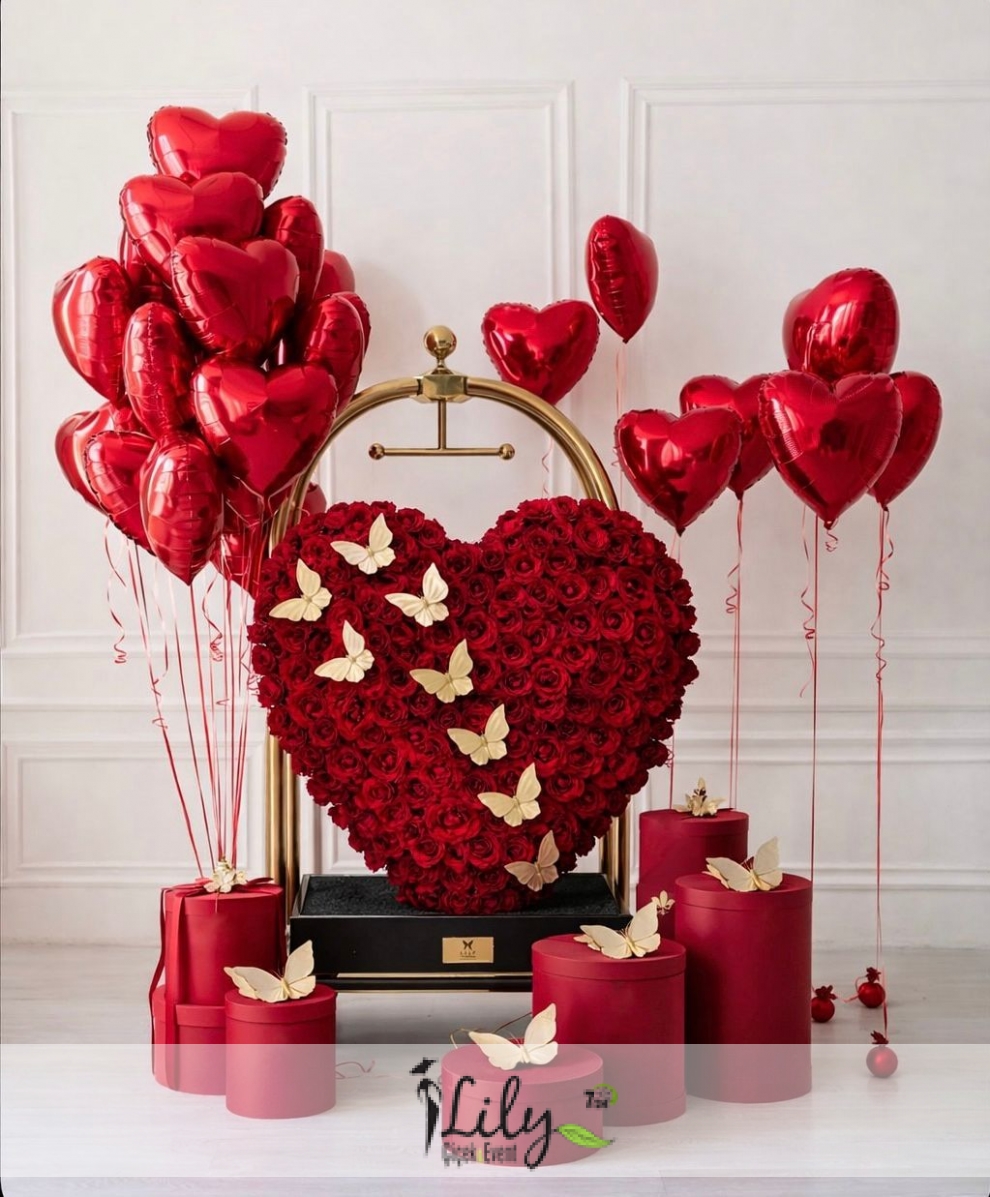 2026 NEW COLLECTİON